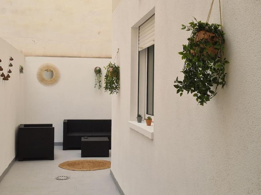 Beautiful Apartment With Patio Torrevieja Exterior photo