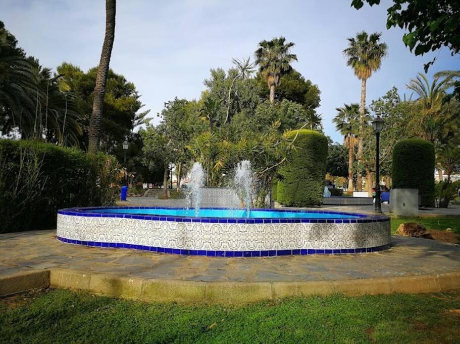 Beautiful Apartment With Patio Torrevieja Exterior photo