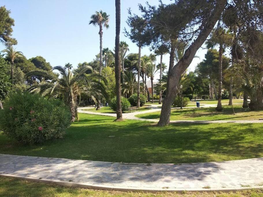 Beautiful Apartment With Patio Torrevieja Exterior photo