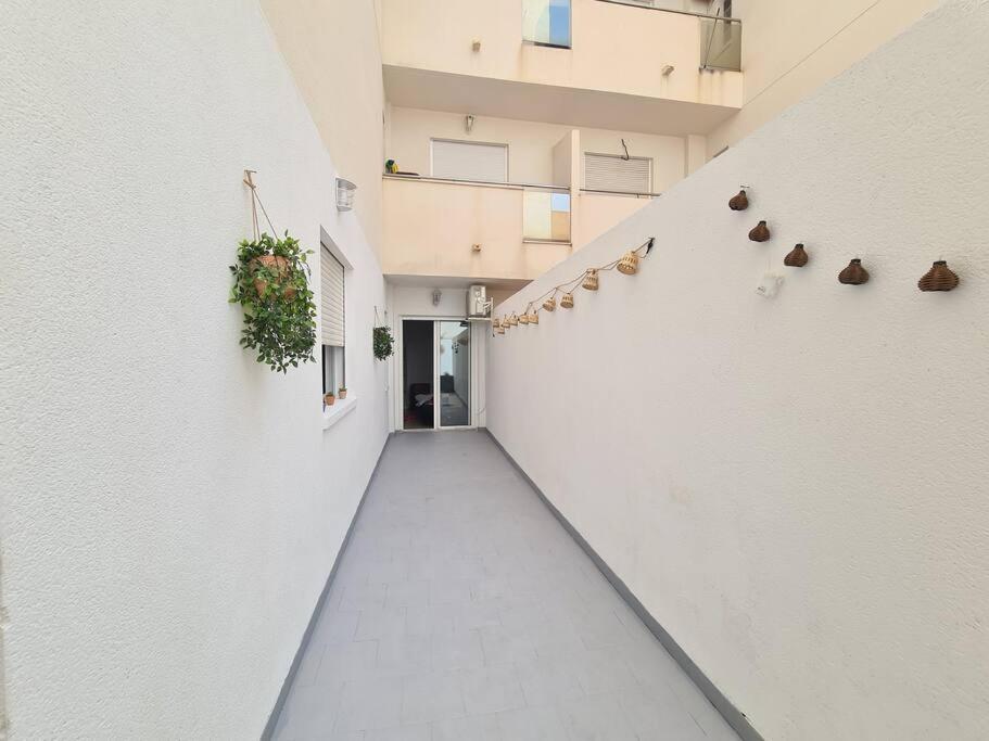 Beautiful Apartment With Patio Torrevieja Exterior photo